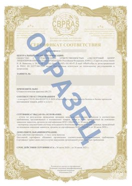Образец Сертификат СТО 01.064.00220722.2-2020 Липецк Сертификат СТО 01.064.00220722.2-2020 