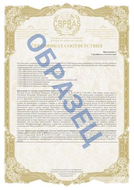 Образец Приложение к СТО 01.064.00220722.2-2020 Липецк Сертификат СТО 01.064.00220722.2-2020 